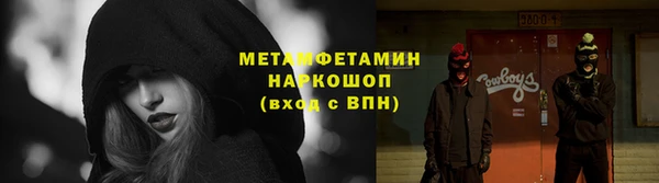 ПСИЛОЦИБИНОВЫЕ ГРИБЫ Осташков
