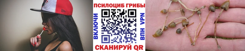 Псилоцибиновые грибы GOLDEN TEACHER  мега как войти  Воронеж  что такое наркотик 