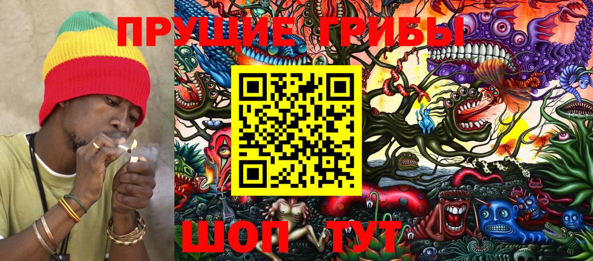Псилоцибиновые грибы прущие грибы  Воронеж 
