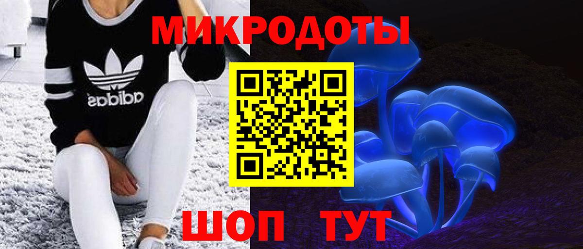 закладка  Псилоцибиновые грибы мицелий  Воронеж  Вход с VPN  Псилоцибиновые грибы прущие грибы 