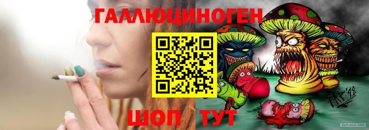 Псилоцибиновые грибы Psilocybine cubensis Воронеж